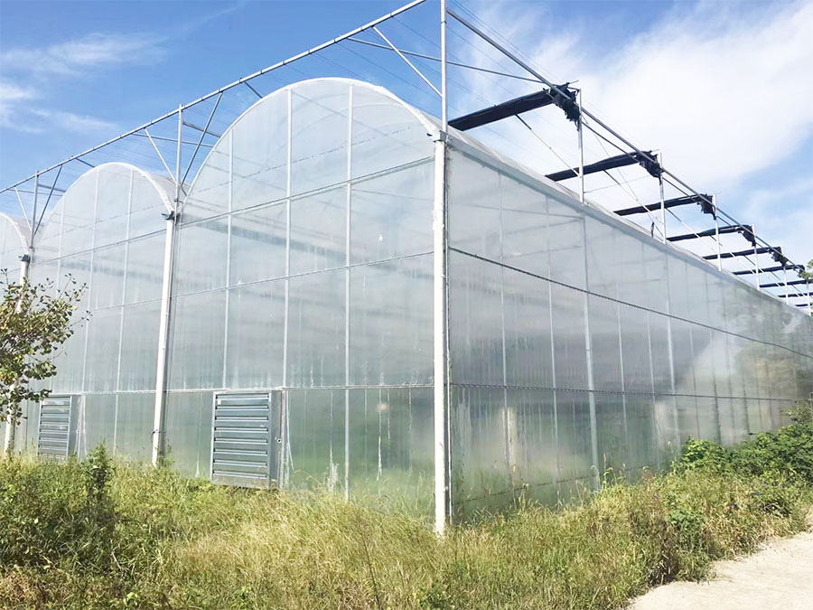 連棟薄膜溫室
