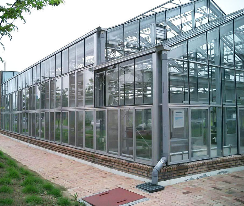 解析玻璃溫室大棚的優點及用途